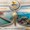 The Ultimate Guide: Orange Bay vs Paradise Island – Which is the Best Island in Hurghada?