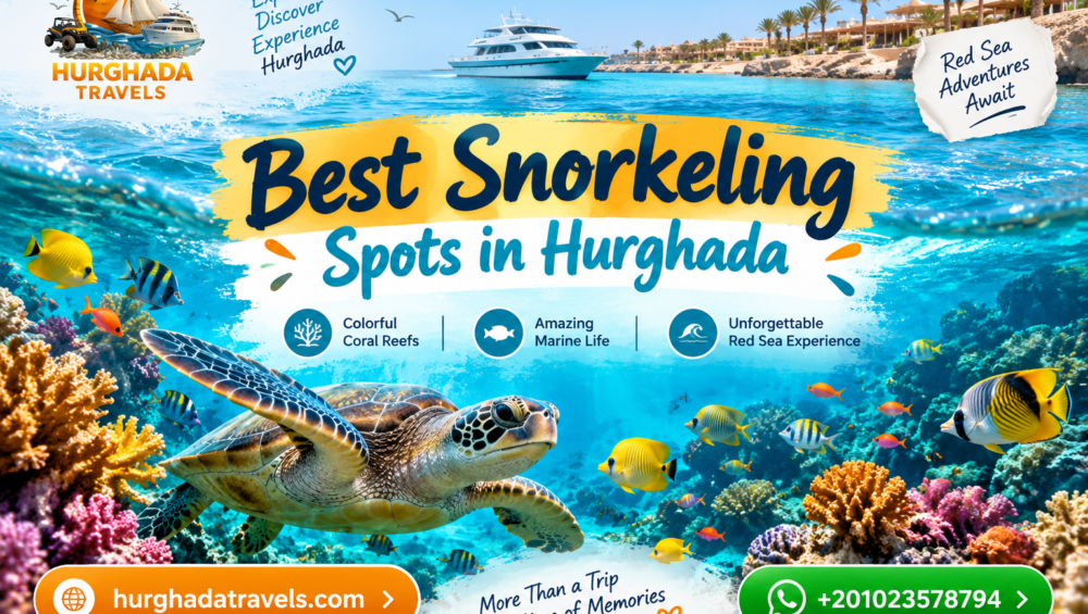 Illustrated guide to snorkeling spots in Hurghada with reefs and marine life