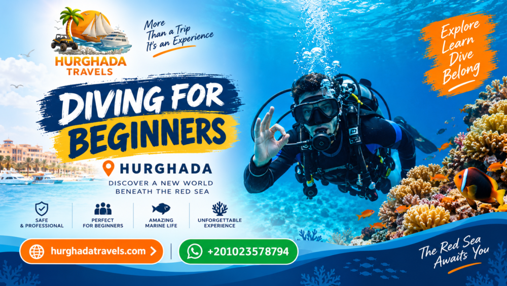 Illustrated guide to beginner scuba diving in Hurghada