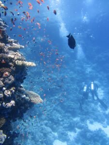 Orange Bay Island & Diving Trip from Hurghada