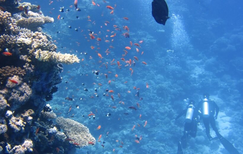 Orange Bay Island & Diving Trip from Hurghada