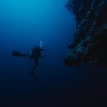 Gallery Thumbnail 1