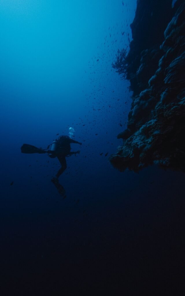 Scuba diver beside a reef in South Sinai