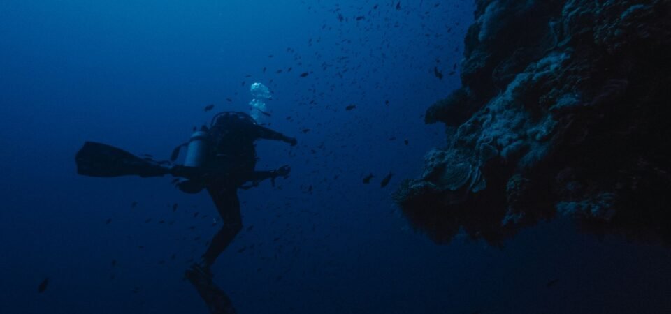 Scuba diver exploring a reef in the clear waters of Egypt
