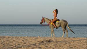 2-Hour Horse Riding & Swimming with Horses in Hurghada
