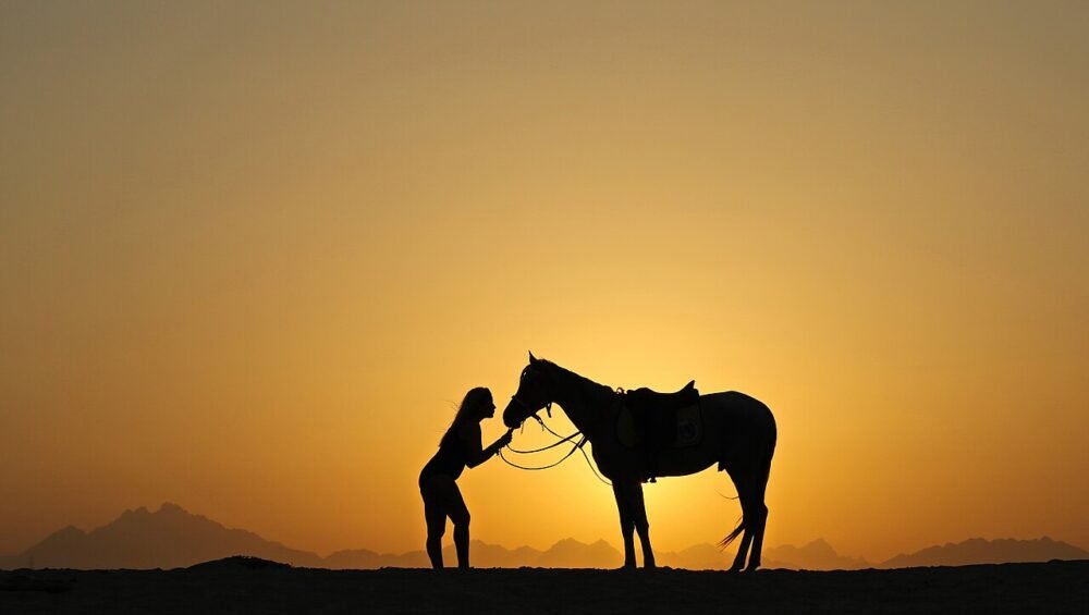 Reiten in Hurghada: Pferd und Mensch als Silhouetten bei Makadi Bay