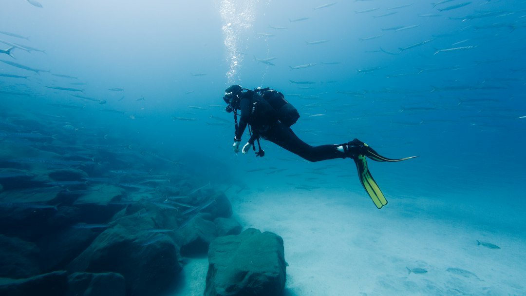 Taucher im offenen Meer bei Tauchen in Hurghada 2026