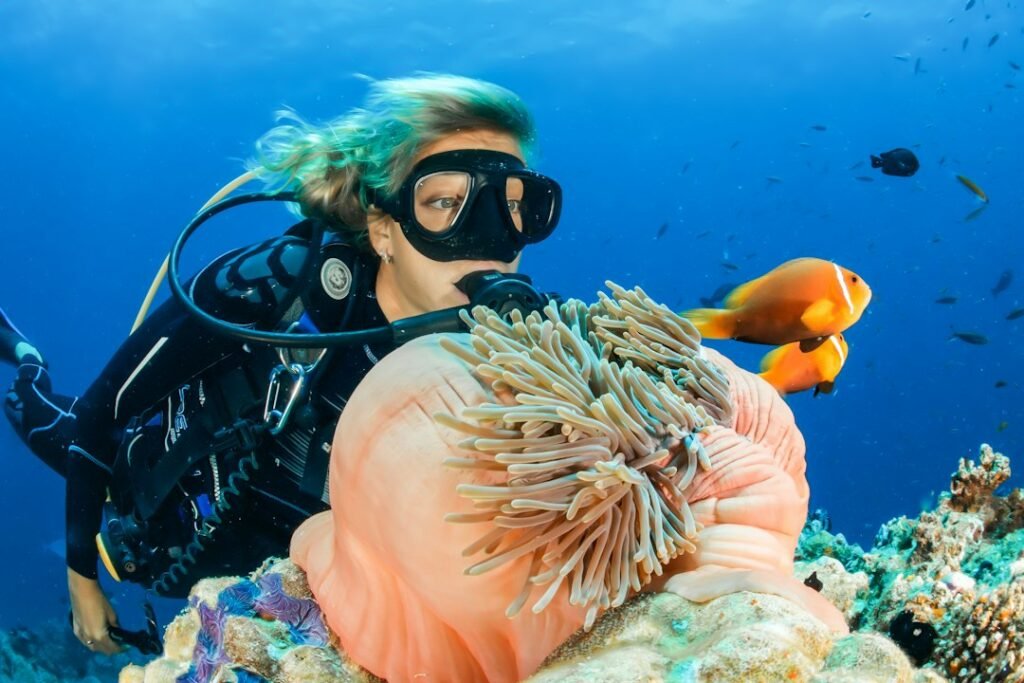 Taucherin beobachtet Fische an einer Anemone am Riff