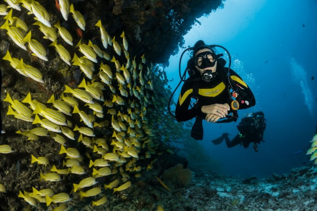 Taucher neben einem Schwarm gelber Fische unter Wasser